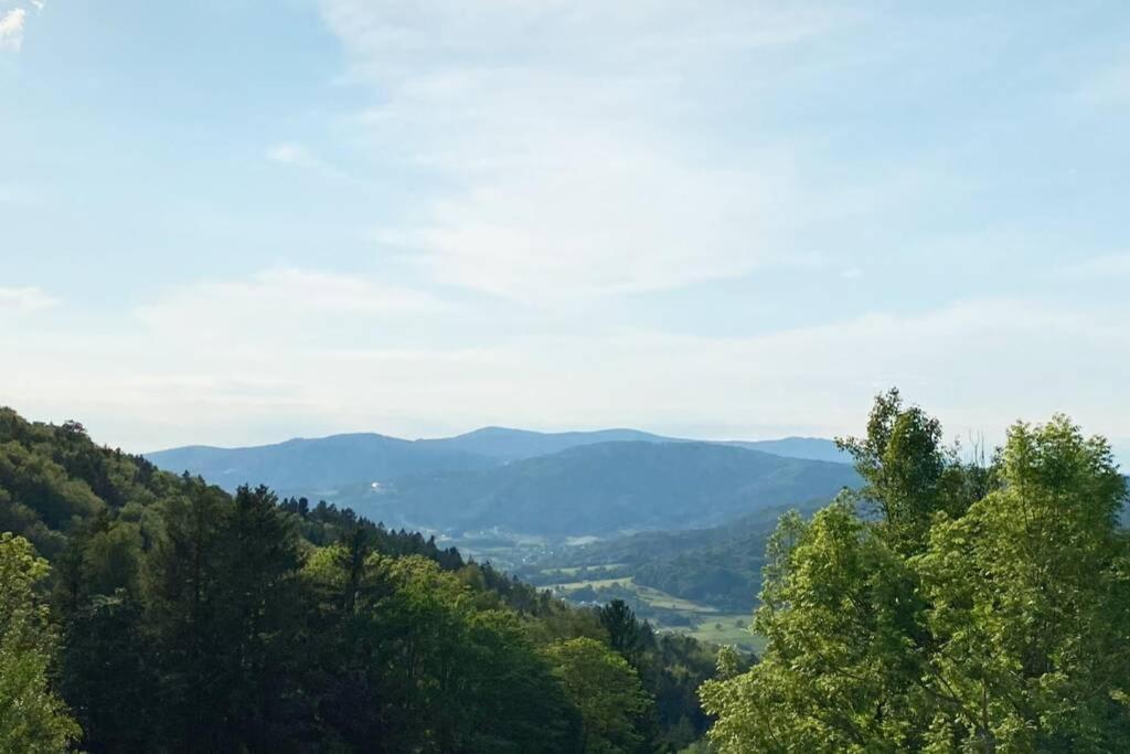 Mitten Im Bayerischen Wald + Schoenblick + Urig + Netflix Schofweg Exterior photo